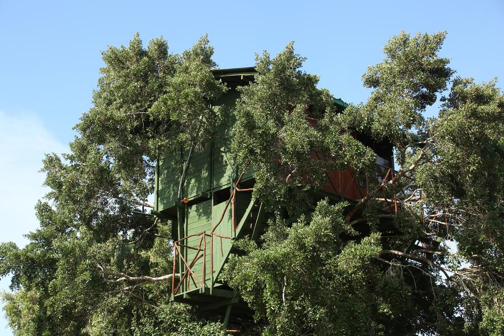 Yala Luxury Tree House