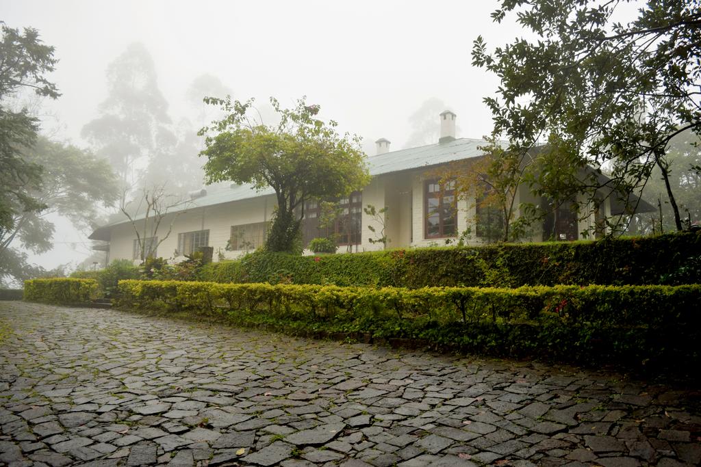 Binoya Tea Estate Bungalow