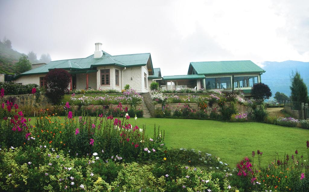 Tea Bush Hotel