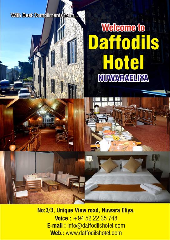 Hotel Daffodils