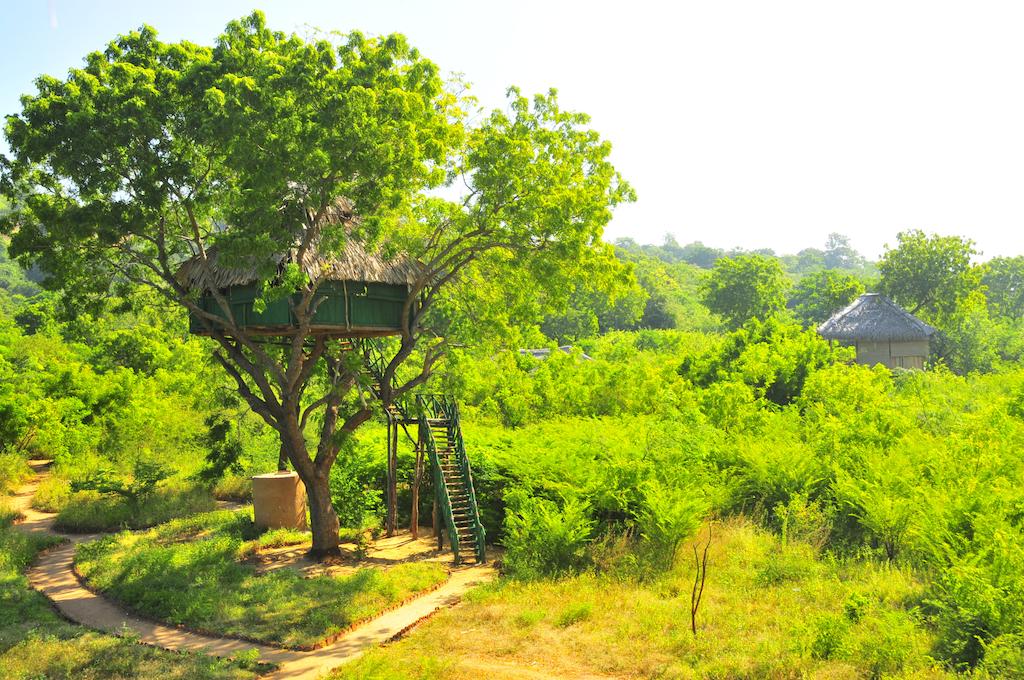 Beddegama Ecopark - Yala