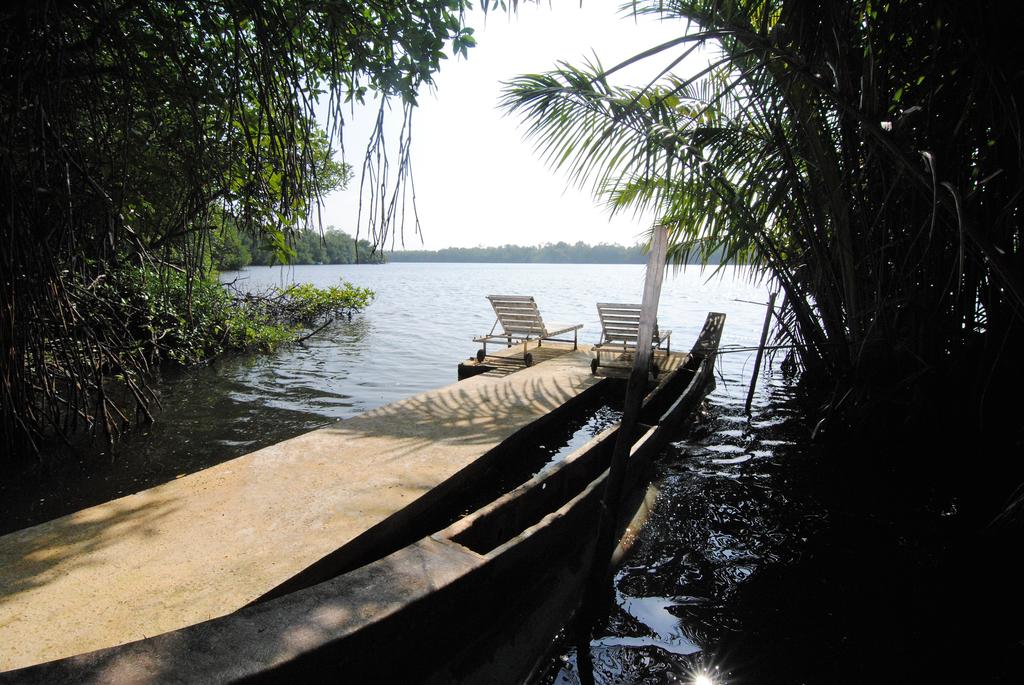 Mangrove Villa - Bentota River