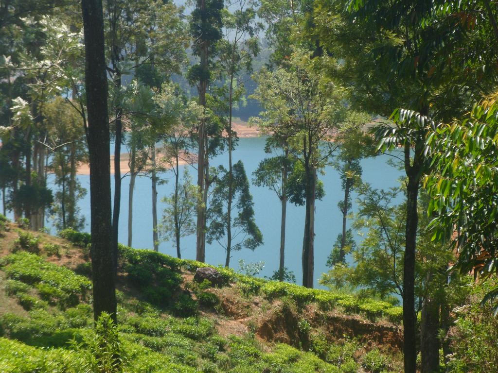 Ayos Hill Adamspeak