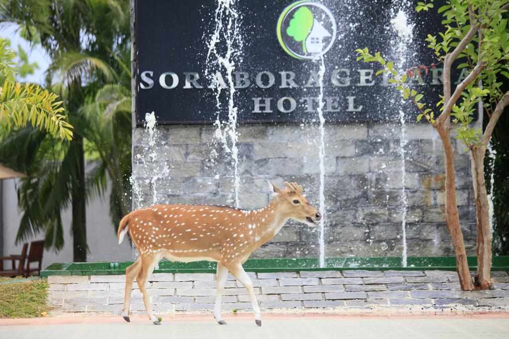 Sorabora Gedara Hotel