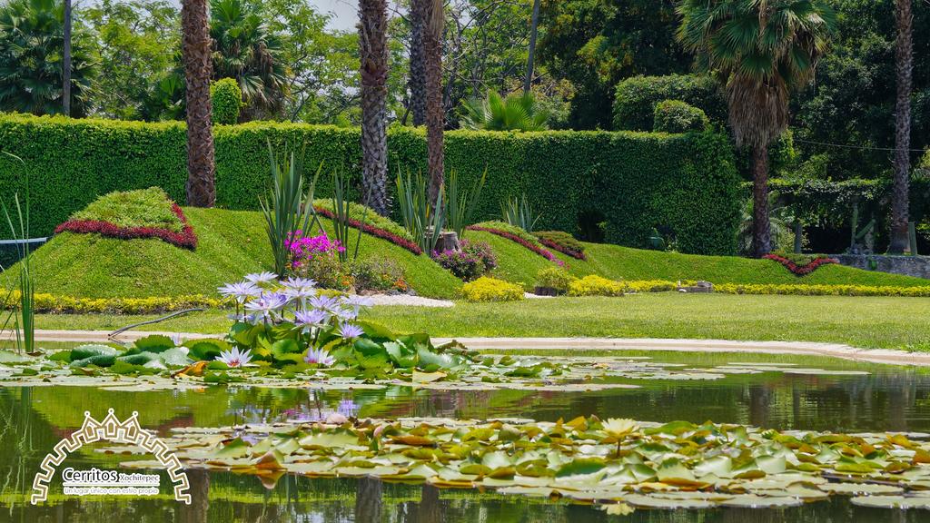 Jardín Cerritos Xochitepec