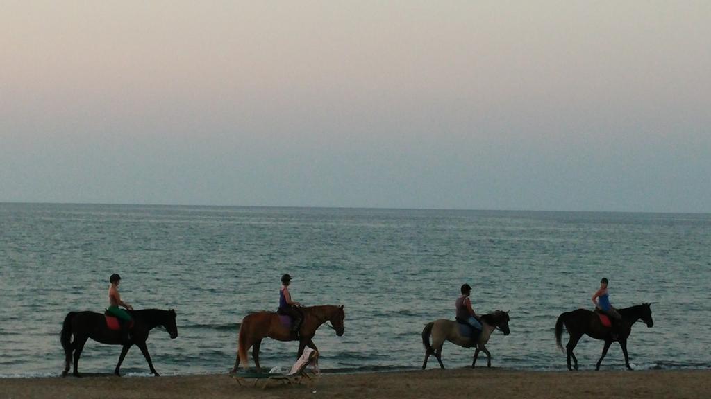 Sandy Beach