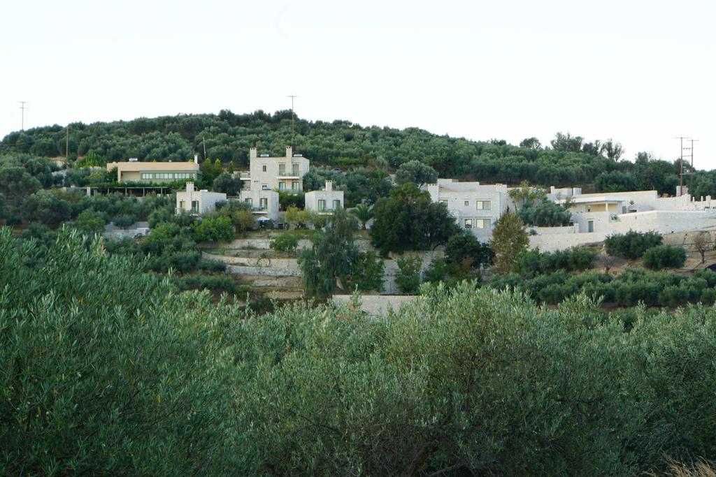 Dalabelos Estate