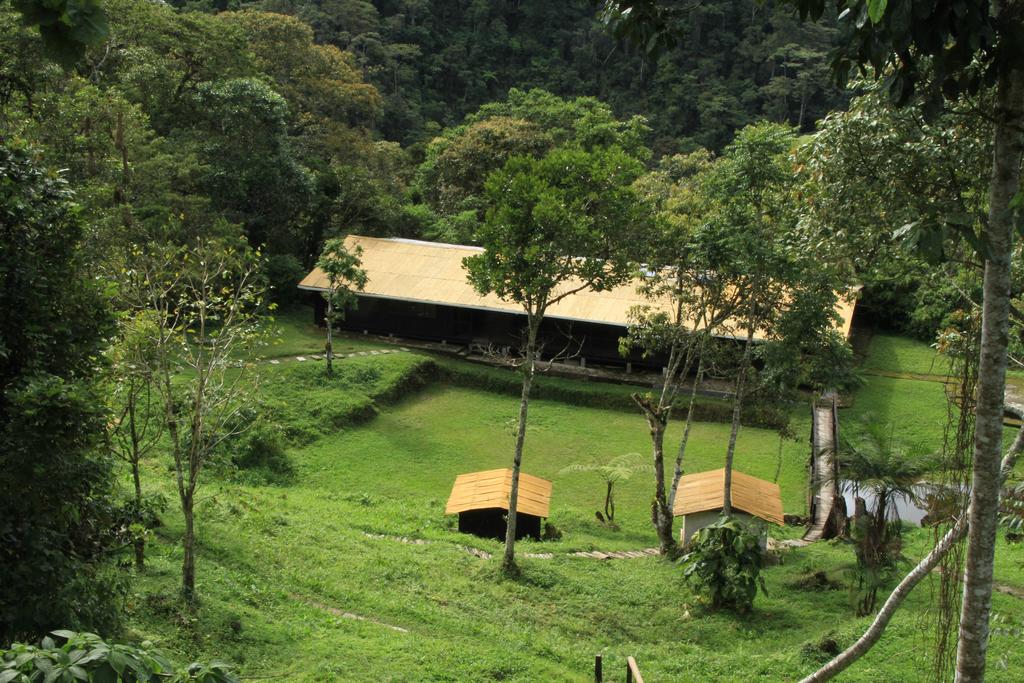 Cueva de los Guacharos