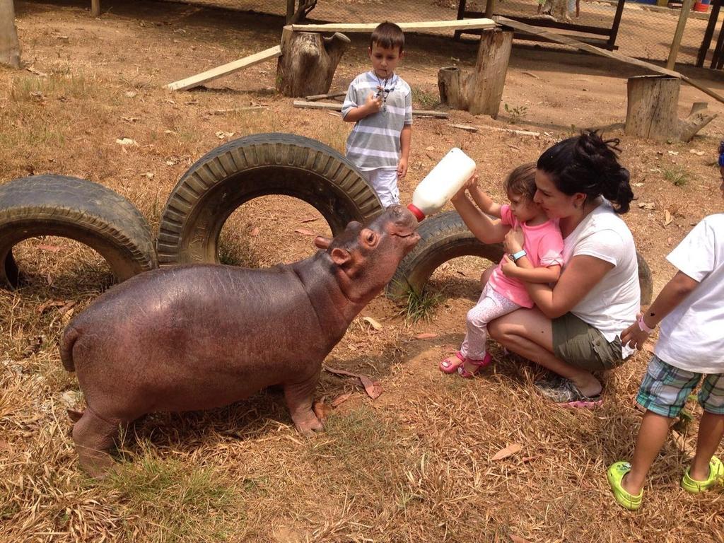 Zooparque Los Caimanes