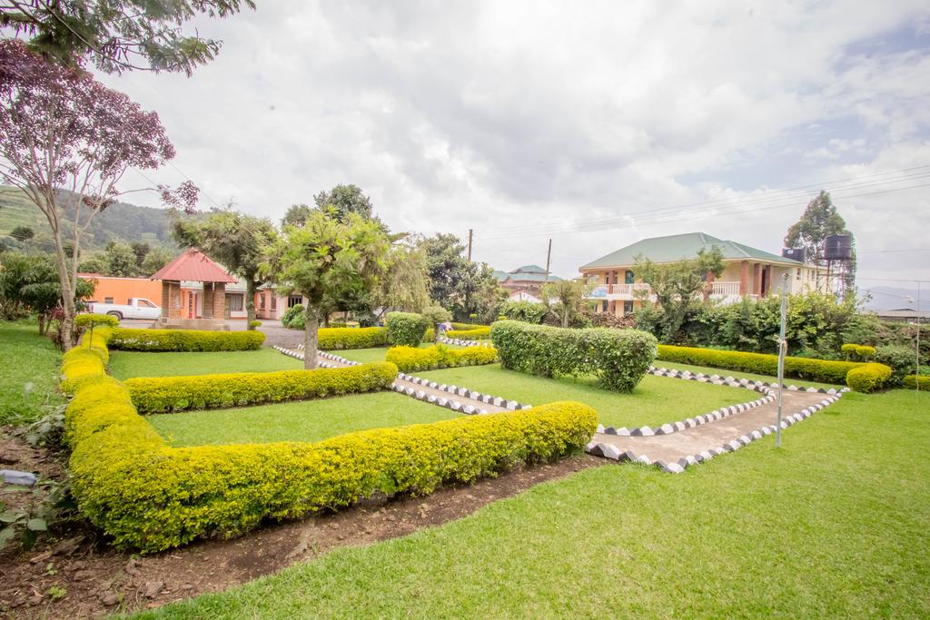 Virunga Campsite and Backpackers