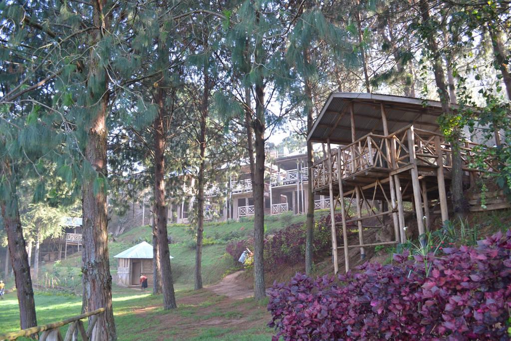 Bugombe Gateway Camp