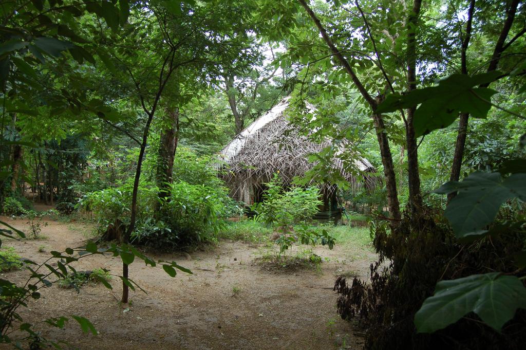 Habarana Ayurveda Pavilion