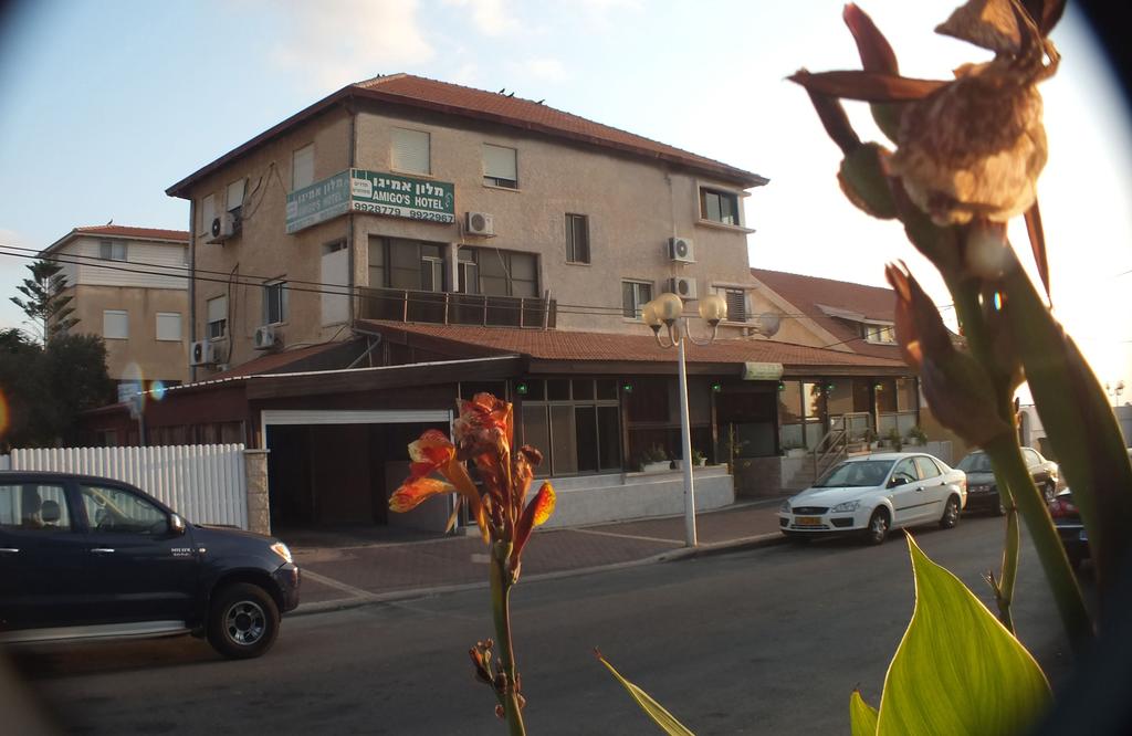 Amigo Hotel On The Beach