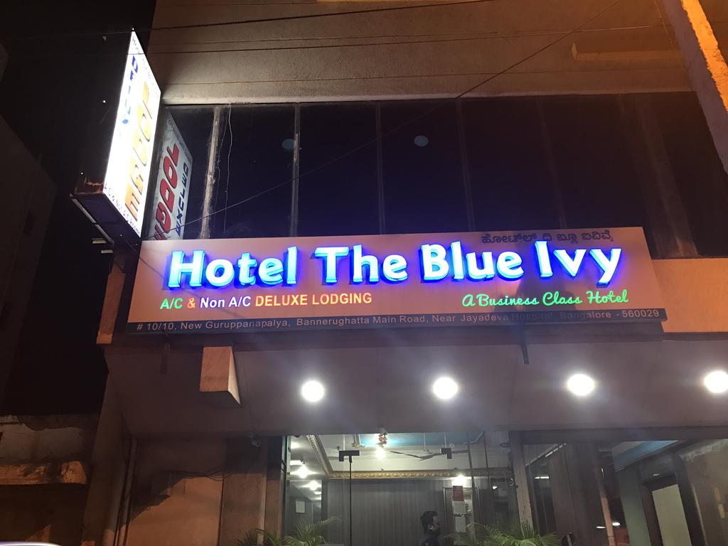 Hotel the blue ivy