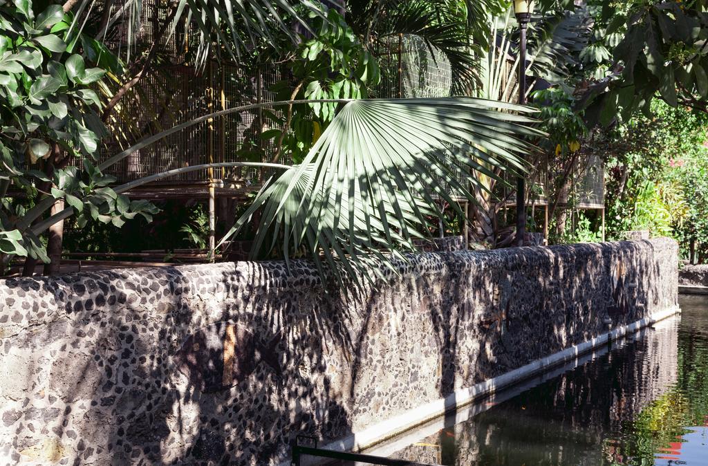 Bungalows y Temazcal Zoviq