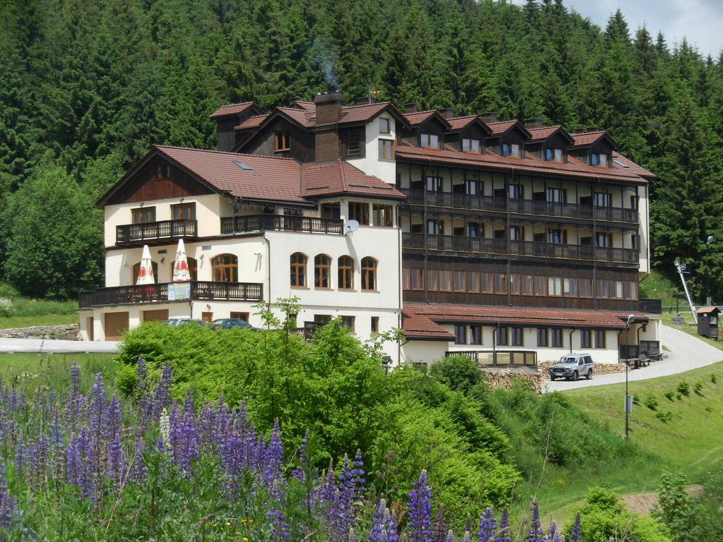 Hotel Zieleniec