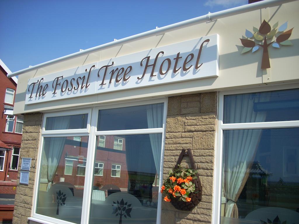 The Fossil Tree Hotel