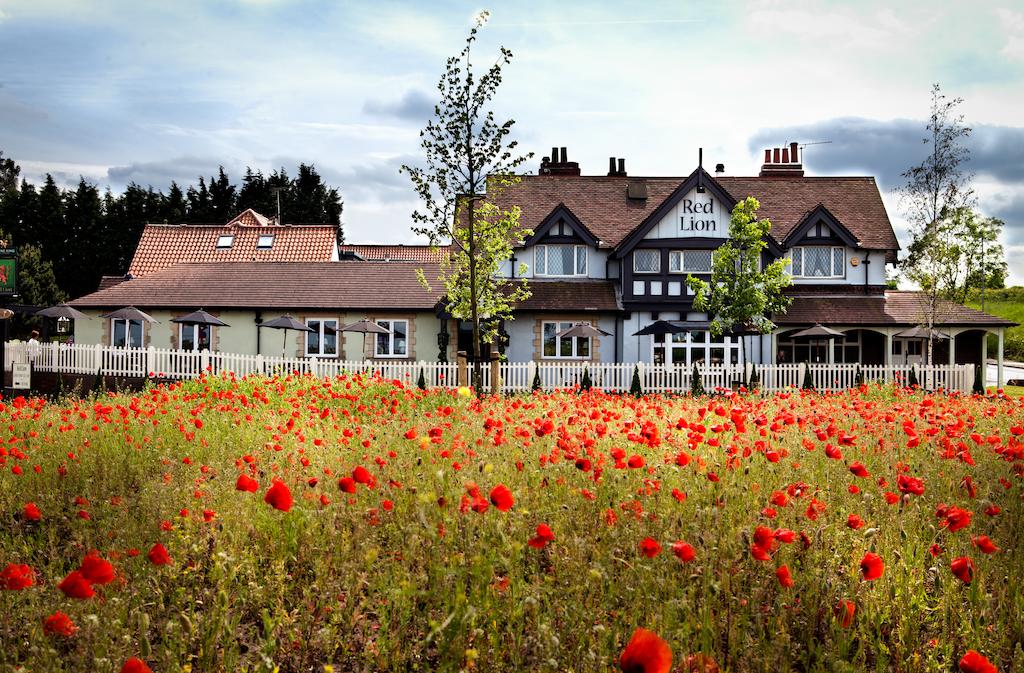 The Red Lion Inn