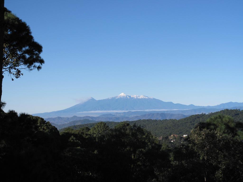 Bosque Escondido