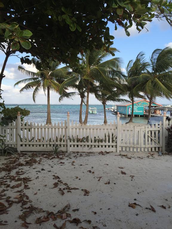 The Palapa House