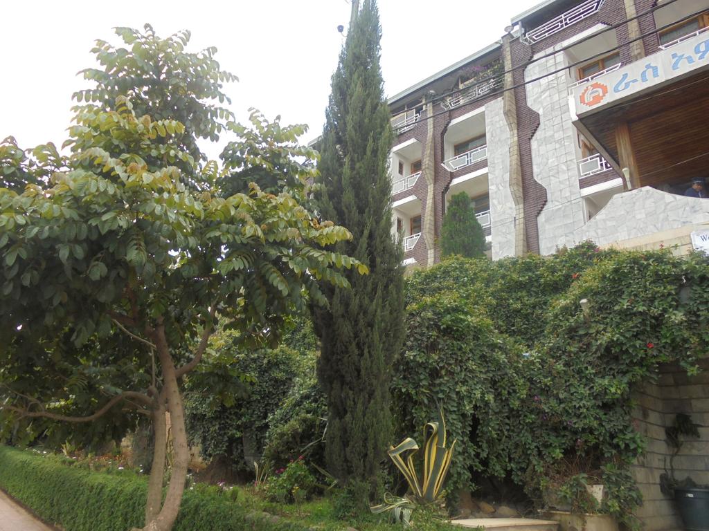 Ras Amba Hotel