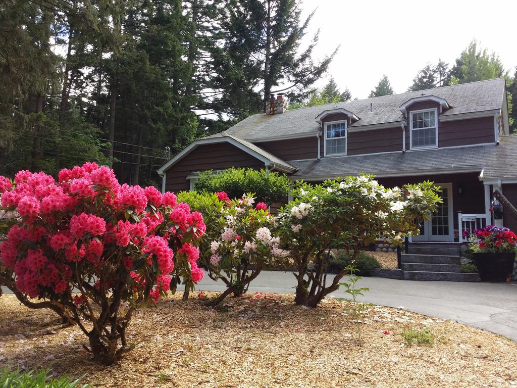 Malahat Bungalows Motel