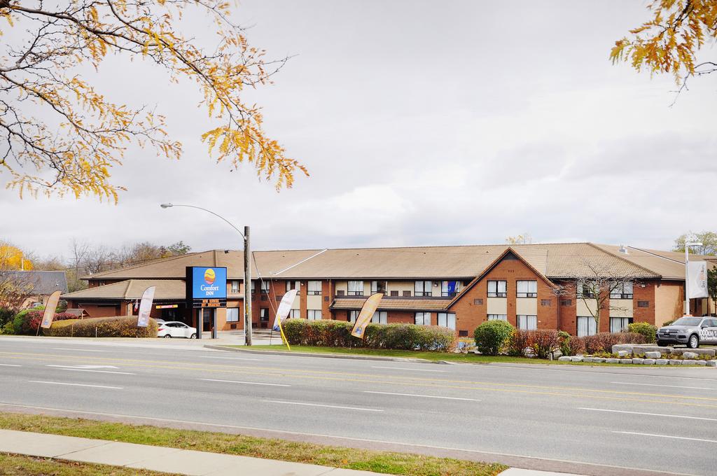 Comfort Inn Pickering