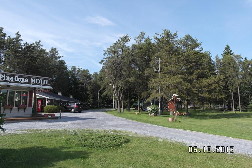 Pine cone Motel