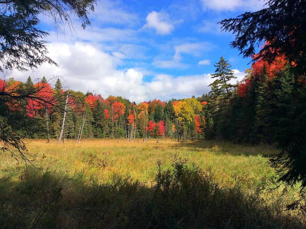 Madawaska Lodge