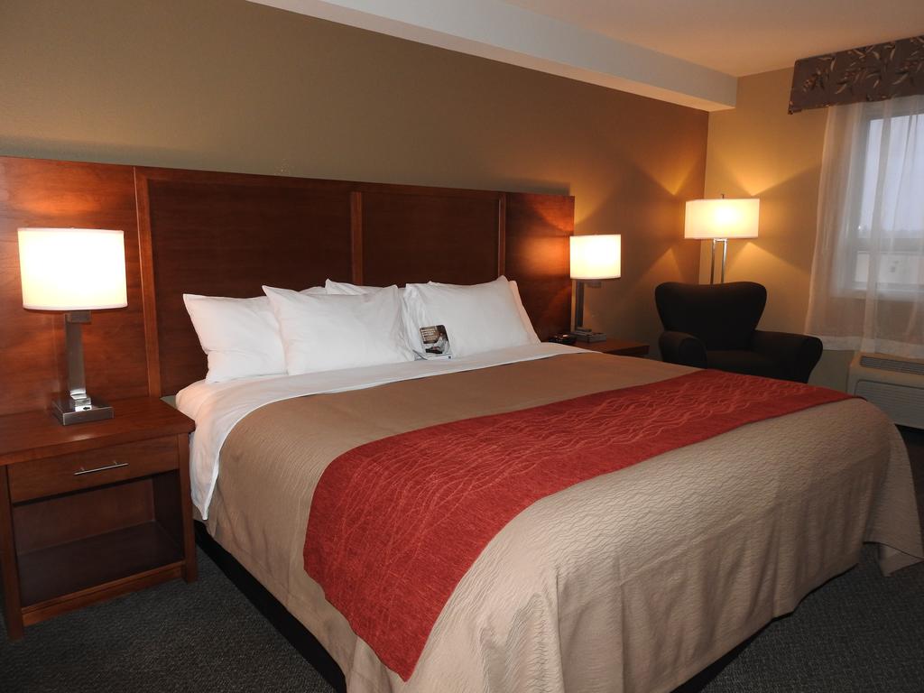 Comfort Inn and Suites Langley