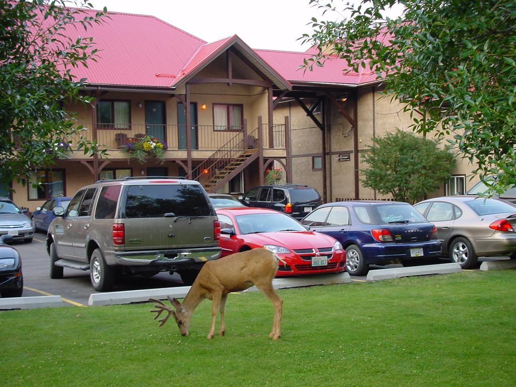 Aspen Village Inn