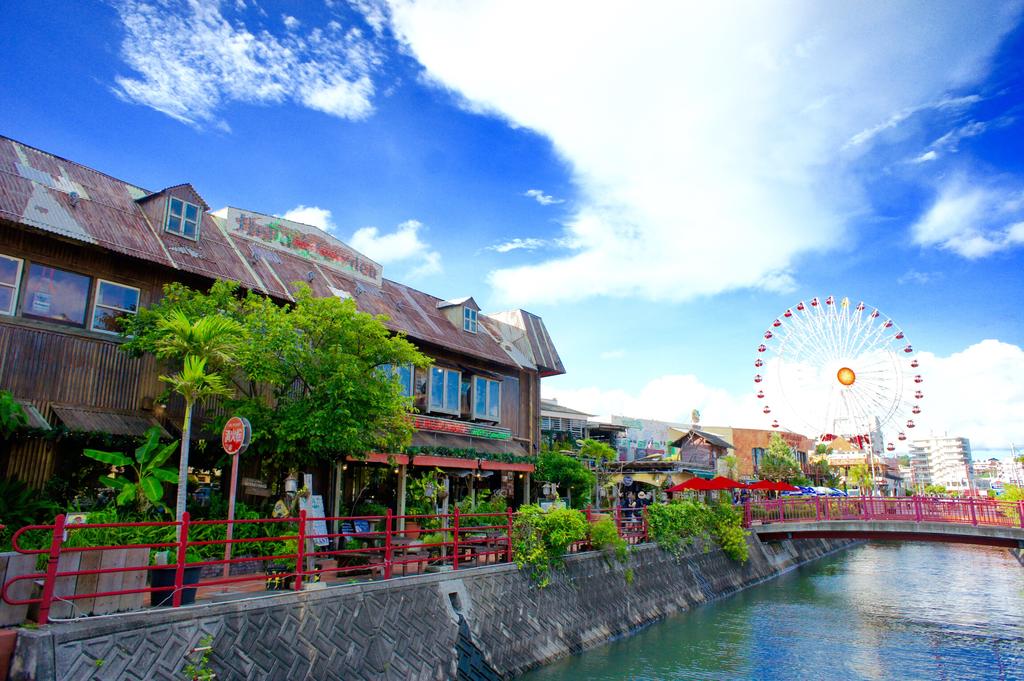 Whale Okinawa