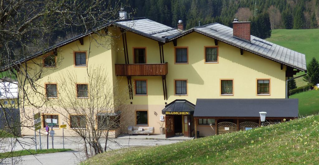 Hotel Blümchen