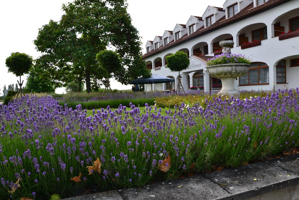 Hotel Mörbischerhof