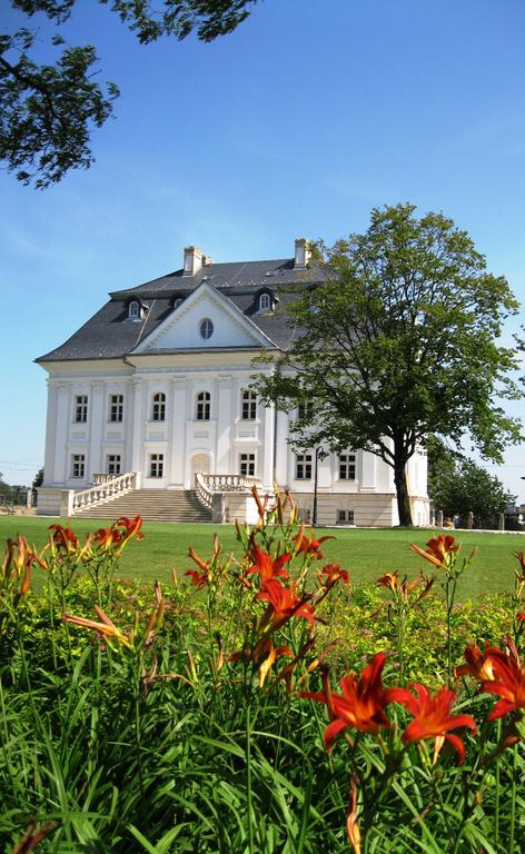 Hotel Pałac Borynia