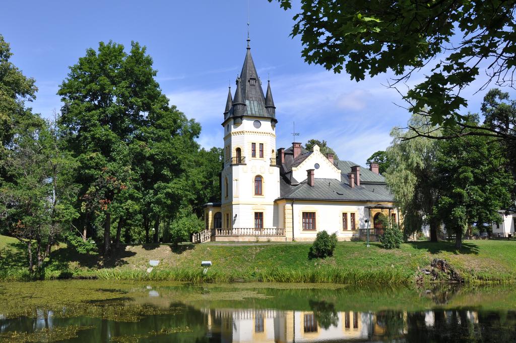 Hotel - Pałac w Olszanicy