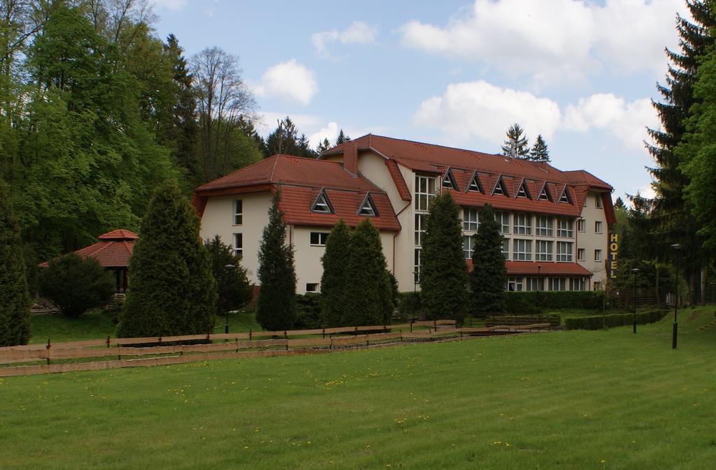 Hotel i Restauracja Złoty Las