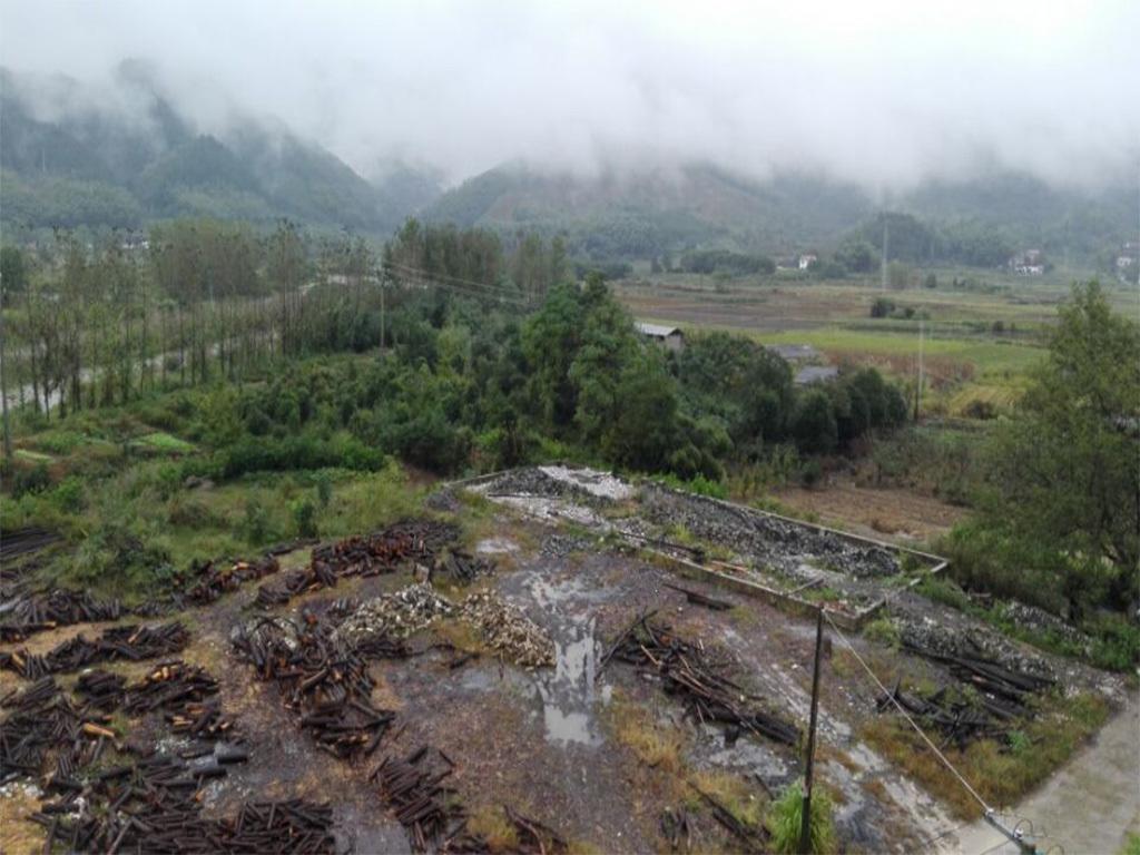 Jing County Zhenshan Mountain Villa