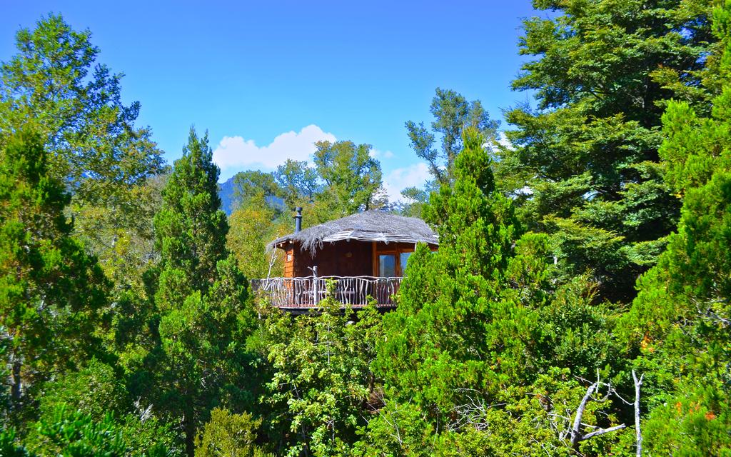 Tree Lodge Nidos de Pucon