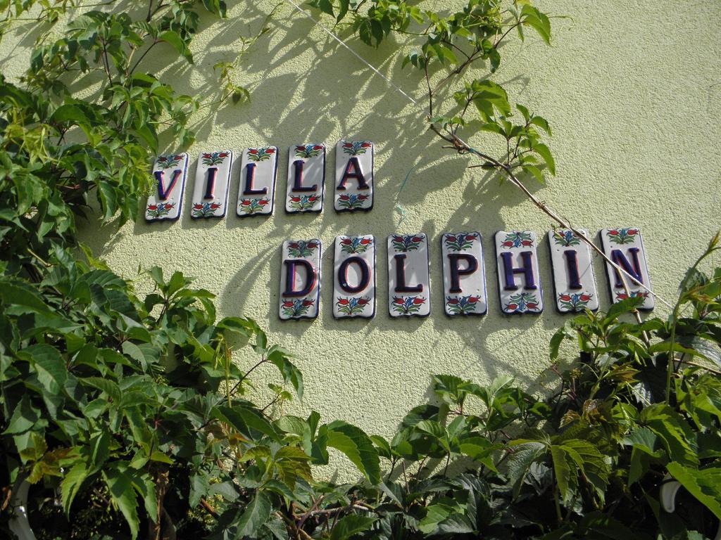 Villa Delfin