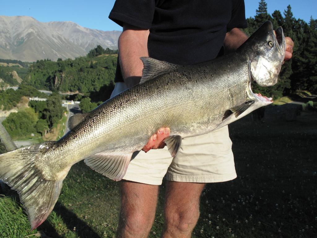 Mt Hutt Lodge