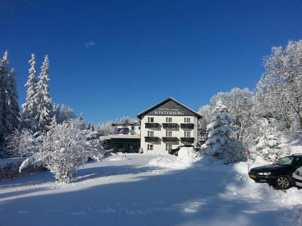 Hotel Winterberg Resort