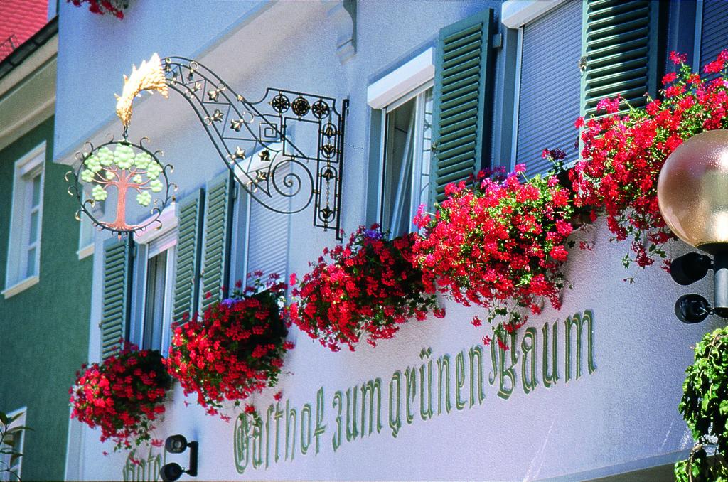 Hotel Restaurant Grüner Baum und Altes Tor