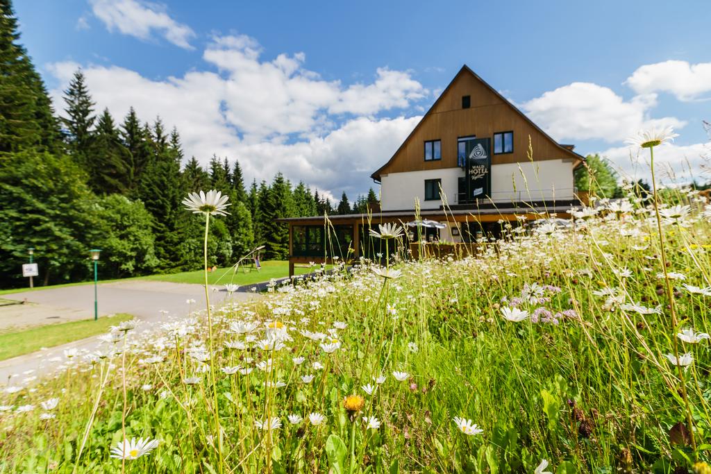 Vogtland Waldhotel