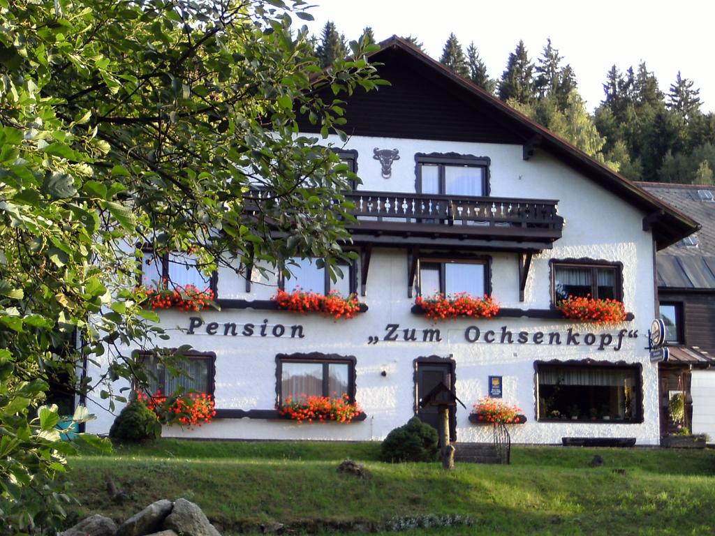 Hotel-Pension Zum Ochsenkopf