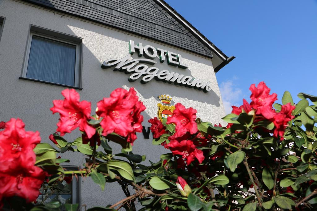 Hotel Niggemann