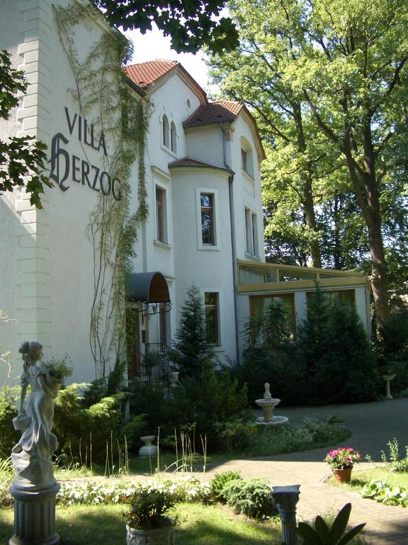 Villa Herzog