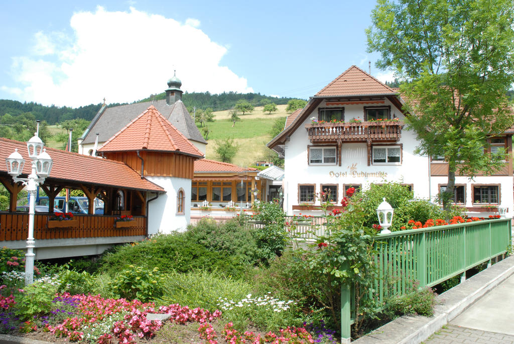 Ludinmühle