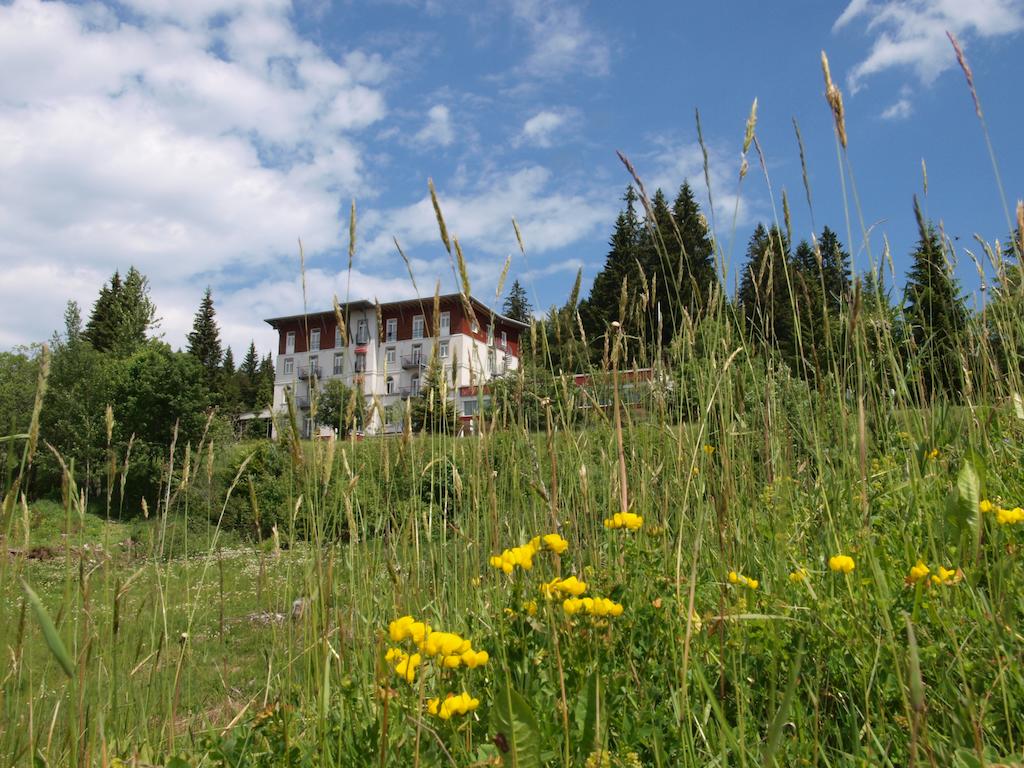 Waldhotel am Notschreipass