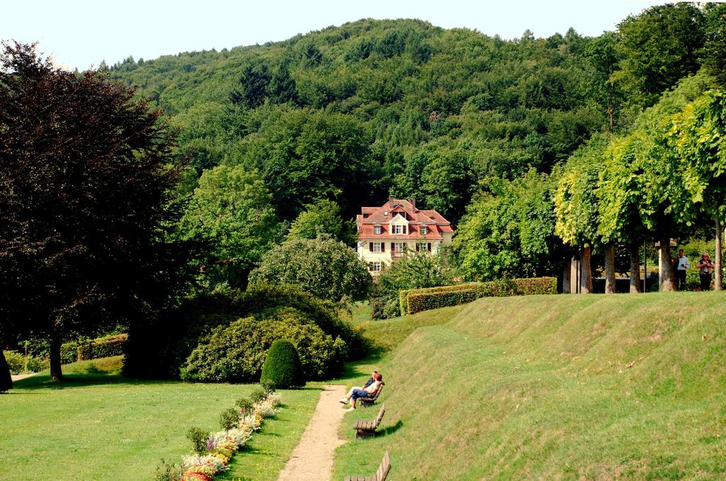 Rhön Hotel Waldcafé St Georg